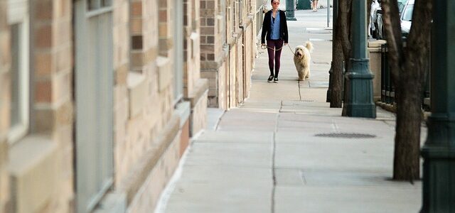 Dog Sitter a Milano Dog sitter